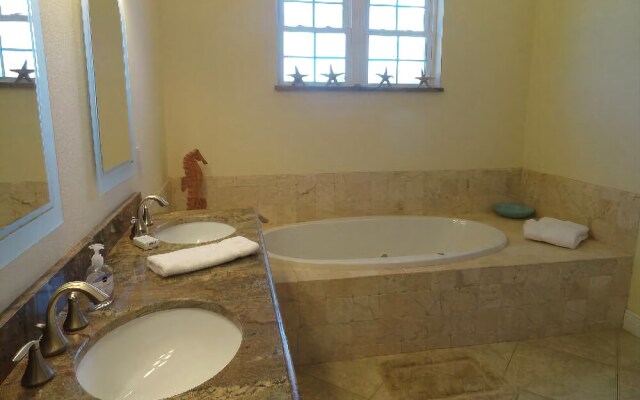 Sand Dollar by RedAwning