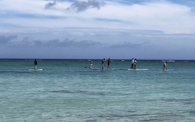 Okinawa Freedom