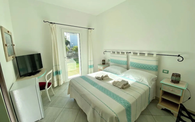 B&B Tigrillo