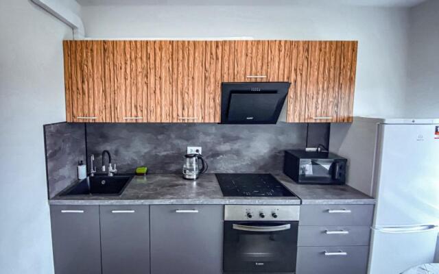 Sunny Days On The Street Of The Pilot Laryushin 10