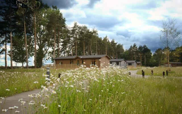 Hollicarrs - Forest Retreat