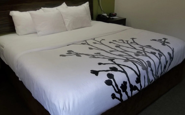 Sleep Inn Bryson City - Cherokee Area