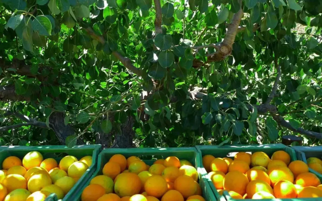 La Joya Del Valle De Ricote