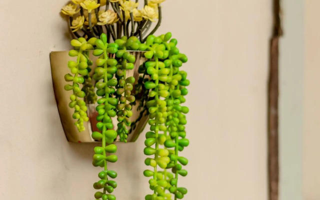 Villa Roma - Luxury Accommodation