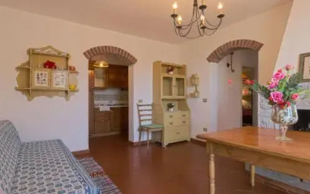 Conte Francesco Ii 233S