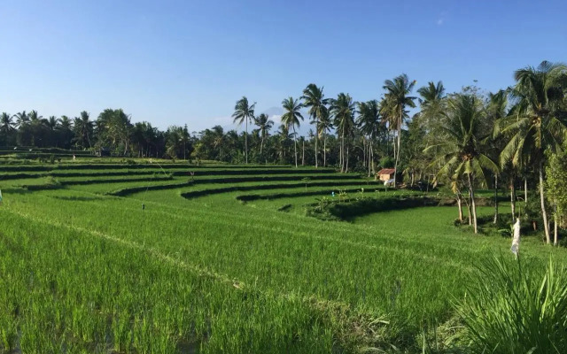 Telagamas Guest House