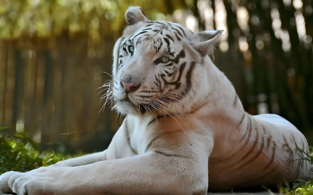 Magnuson Hotel Little Rock South