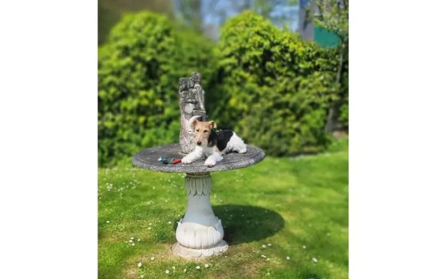 No Title Modern Retreat