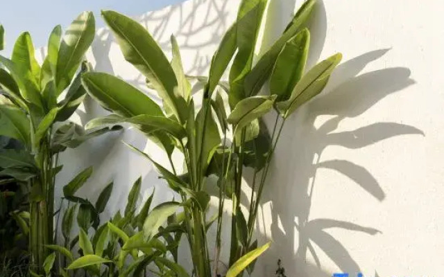 Villa Bowa 1 by BaliSuperHost