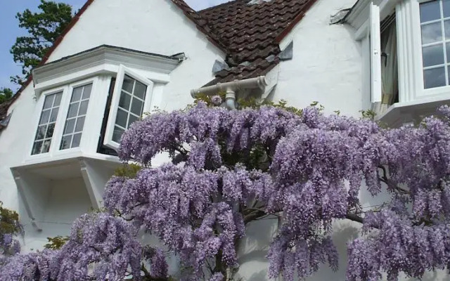 Wayside Cottage