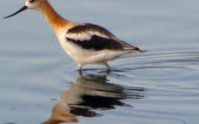 Fairmount Bed & Breakfast