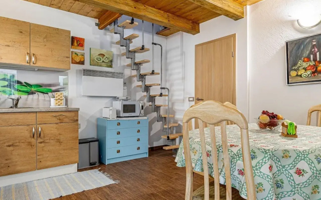 Ladybug House With Whirlpool