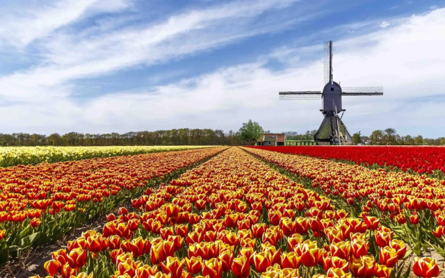 Xaviera's Bed and Breakfast