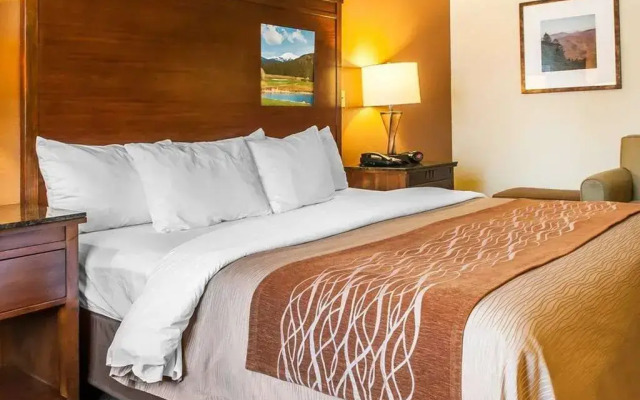 Comfort Inn & Suites Midtown