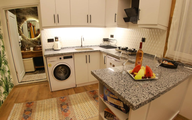 Tiny House Echino söğüt