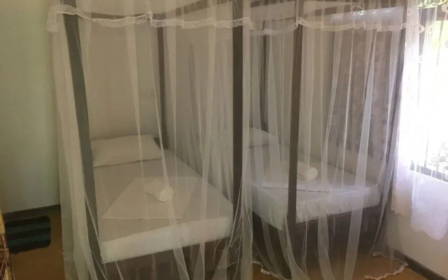 Villa Coconut - Hostel