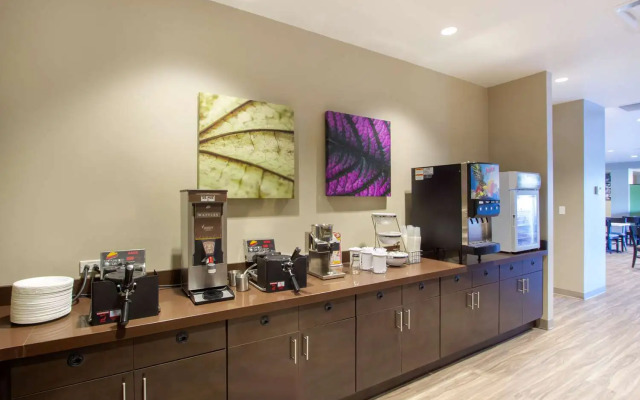 Sleep Inn & Suites Tampa South