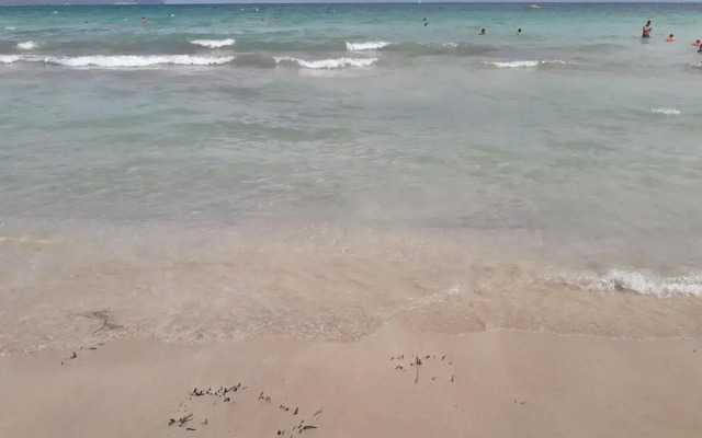 Fantastic, 100 Meters From The Beach