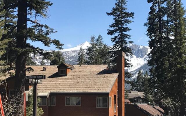 Mountainback #57, Den