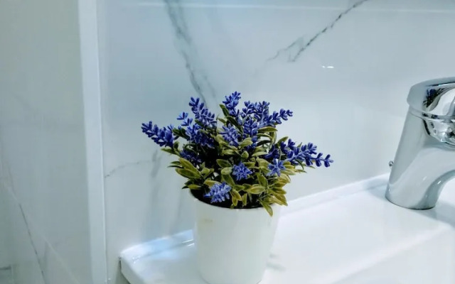 Wish-Suite Santa Justa