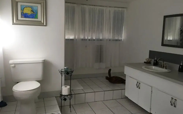 Hawaii Island Resort