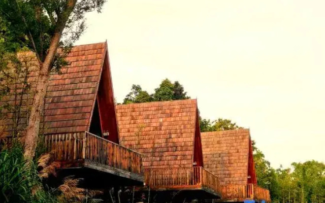 Tree Frog Resort Hotel