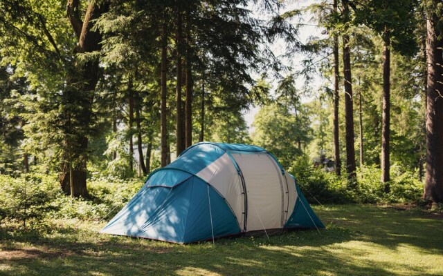 Forest Camping Mozirje