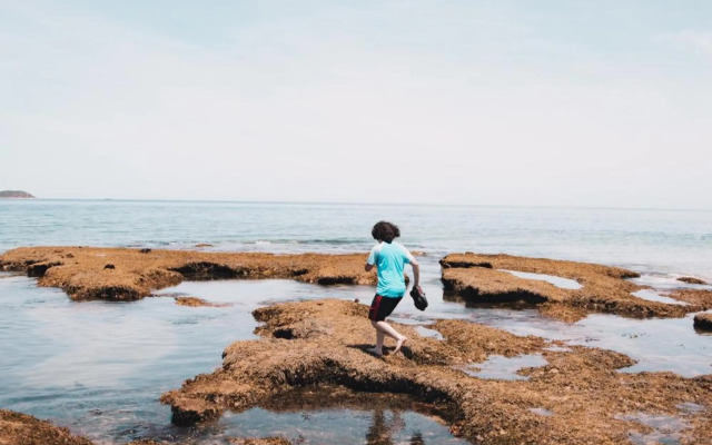 Point Lonsdale Beach House - Relax Beach Surf Golf