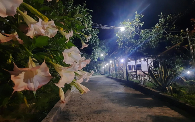 Mandarin Paradise Guest House