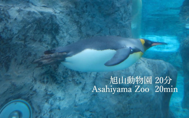 ととのうプレース