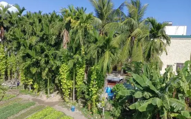 Yuju Island Homestay