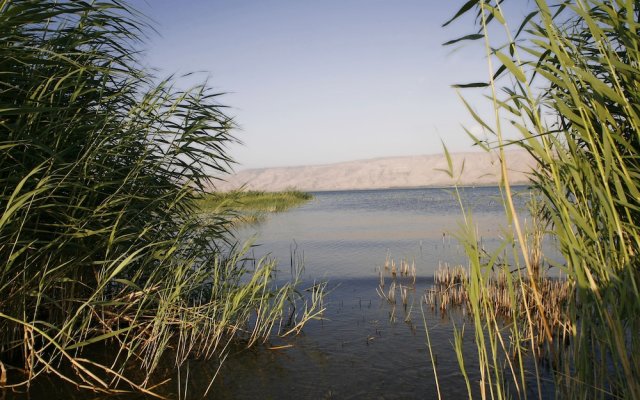 Kinneret Village