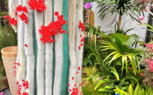 fu xian hu Shui Mu nianhua garden minsu