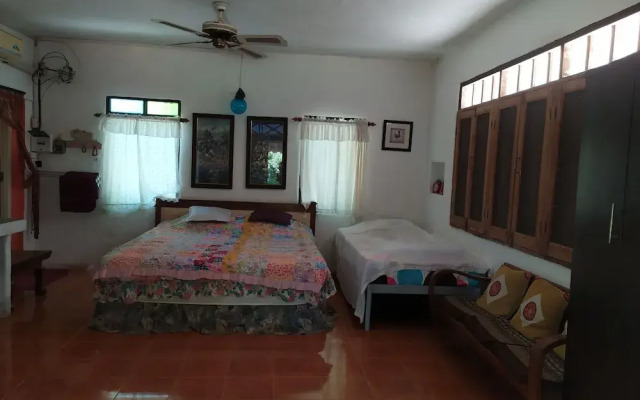 Baan Din Camp and Art Suanphueng