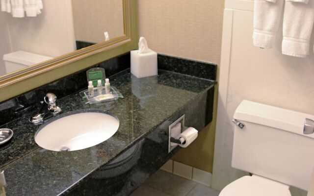 Holiday Inn Alexandria by IHG