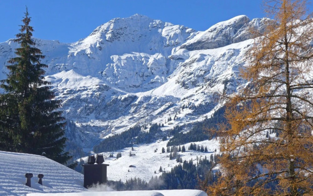 Hundschopf Am Lehn Lauterbrunnen