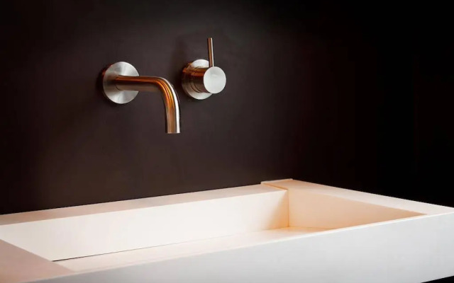 Blue Tulip Amsterdam