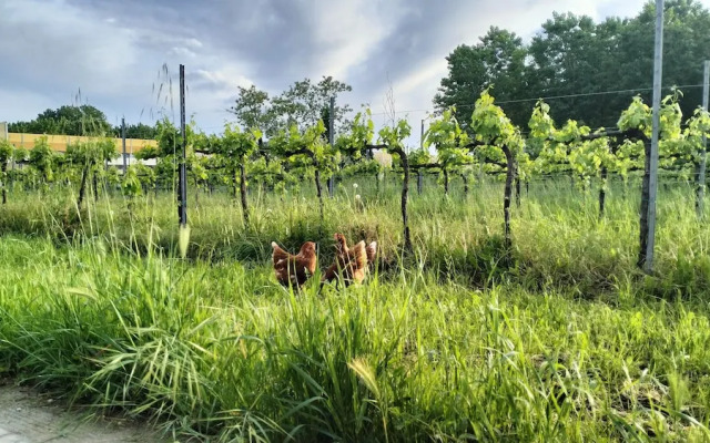 Agriturismo Le Crede 1930