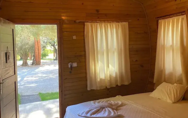 Green Pine Beach & Bungalows Luxury Concept