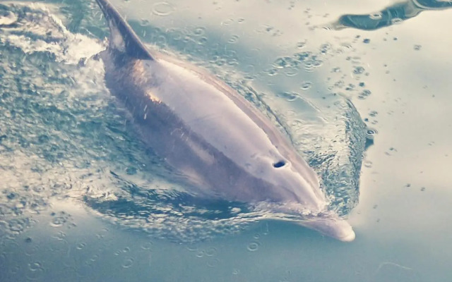 Studio 11 Mandurah Marina