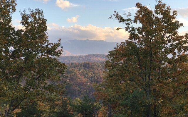 Grandpa Bear's View #233