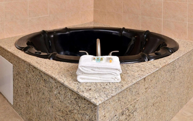 Quality Inn & Suites Matteson near I-57