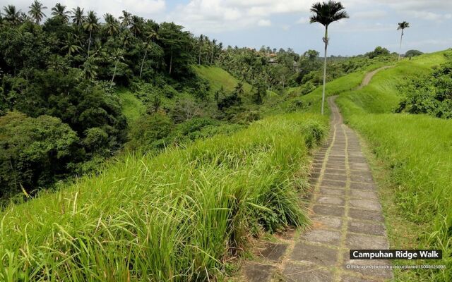 ZenRooms Ubud Monkey Forest 1