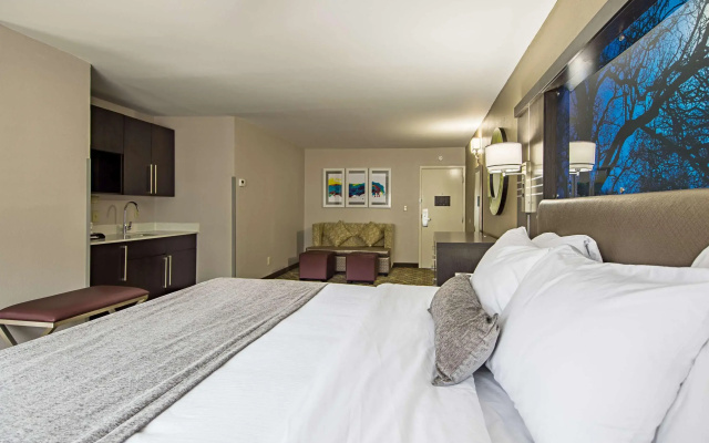 Best Western Plus Clemson Hotel & Conference Center
