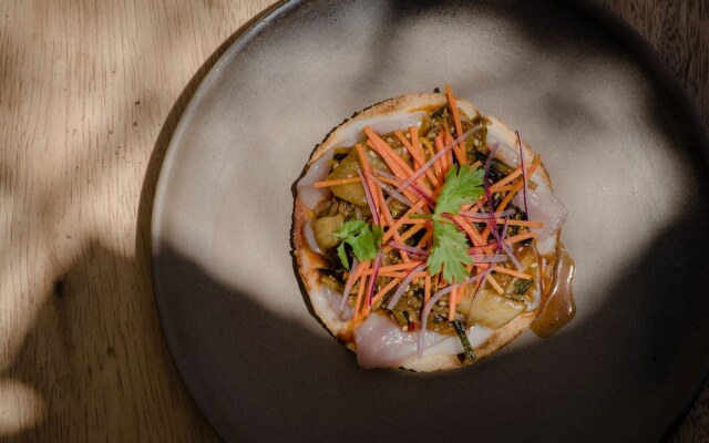 Paradero Todos Santos - Exclusive Experiences