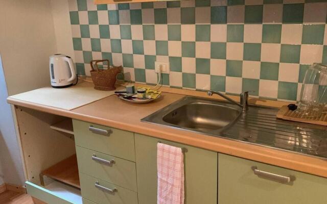 Apartment La Rosa Campione lago