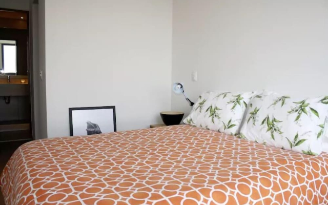 Polanco Area 2 Bedrooms & 2 Bathrooms