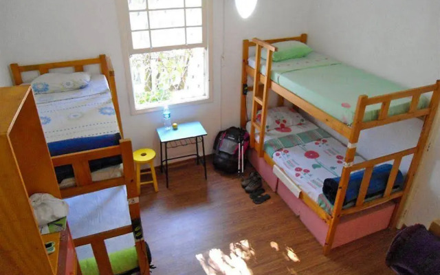 3Dogs Hostel São Paulo