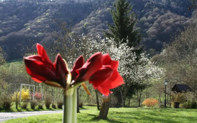 Garden & City Bagnères-de-Bigorre - Domaine de Ramonjuan