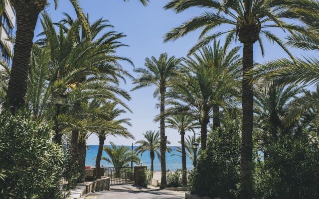 Beferent - Raspeig Playa San Juan